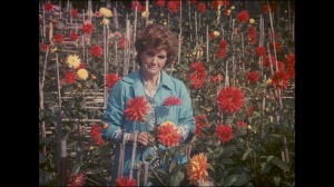 La femme du cinéaste , Maria Isabel dans on jardin...